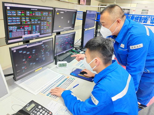 39個提質(zhì)增效項目 信息技術咨詢服務創(chuàng)效超1億元